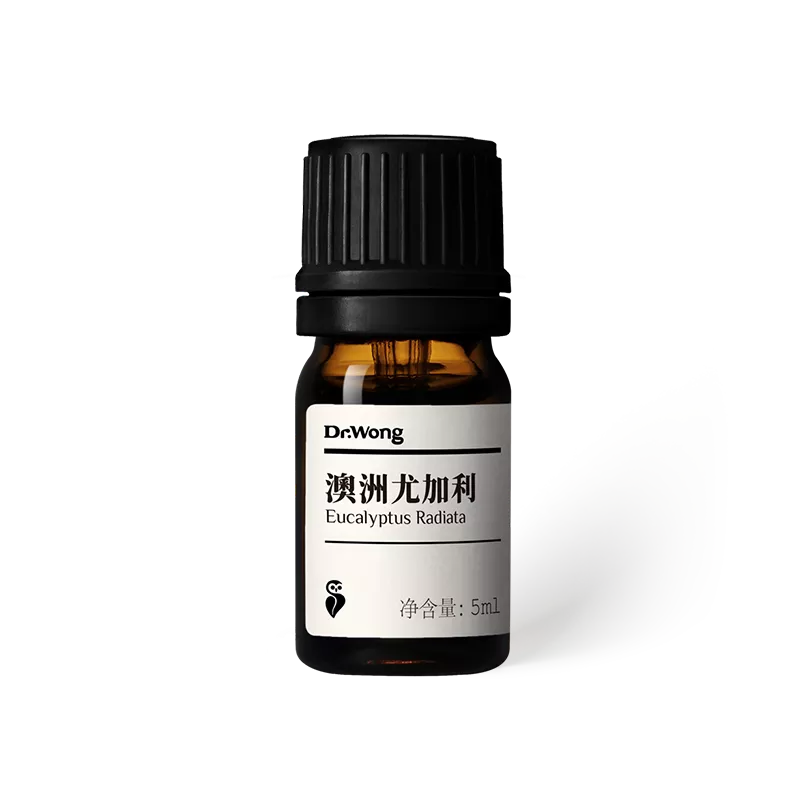 澳洲尤加利