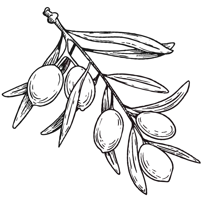 Olive Oil